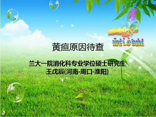 黄疸原因待查