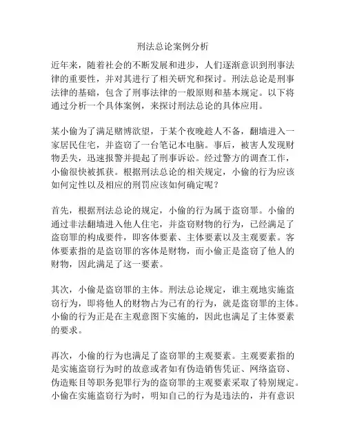 刑法总论案例分析