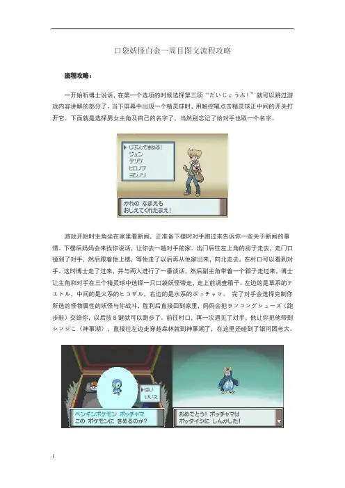 口袋妖怪白金详细图文攻略(整理全)