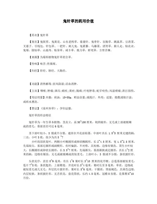 鬼针草的药用价值