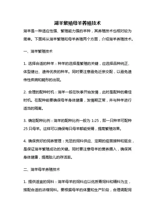 湖羊繁殖母羊养殖技术
