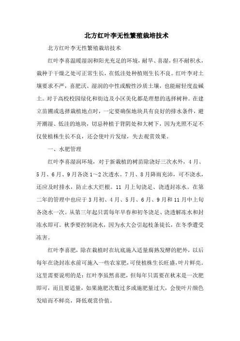 北方红叶李无性繁殖栽培技术