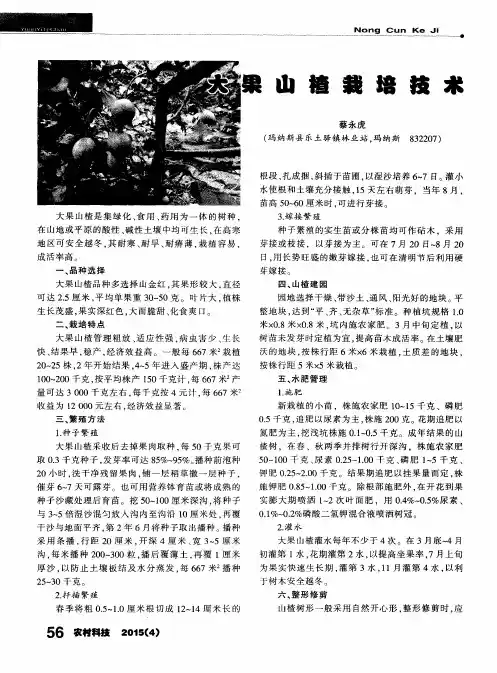大果山楂栽培技术