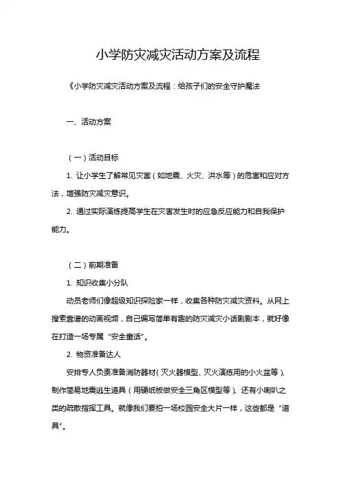 小学防灾减灾活动方案及流程
