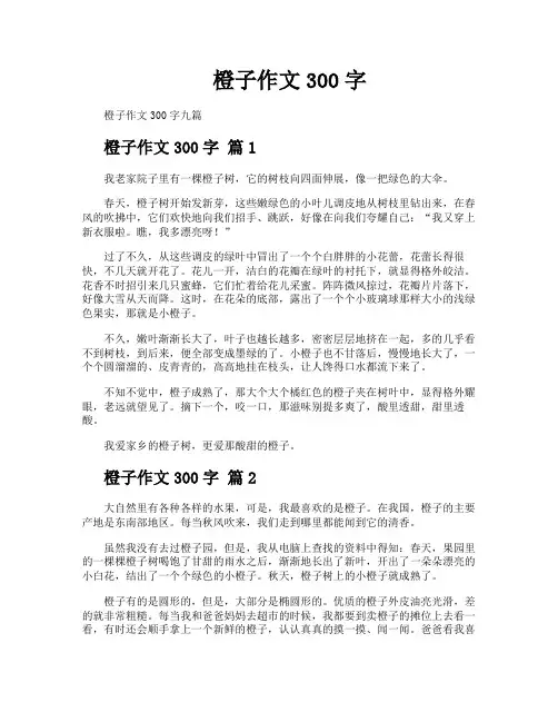 橙子作文300字