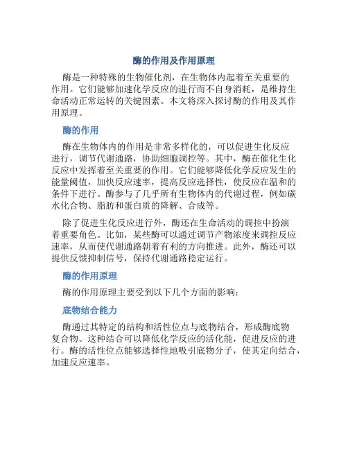 酶的作用及作用原理