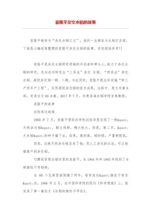 袁隆平杂交水稻的故事