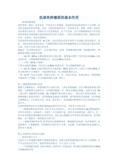 抗恶性肿瘤药的基本作用