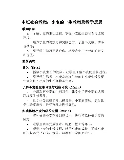 中班社会教案小麦的一生教案及教学反思