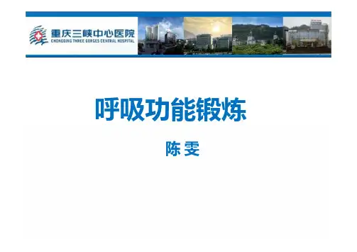 呼吸功能训练PPT课件