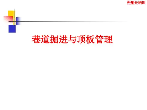 巷道支护及顶板管理--王书光
