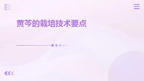 黄芩的栽培技术要点