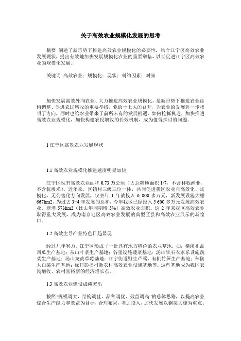关于高效农业规模化发展的思考