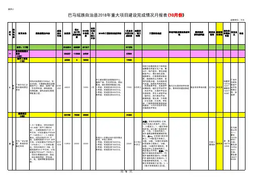 2018项目汇总完善表37