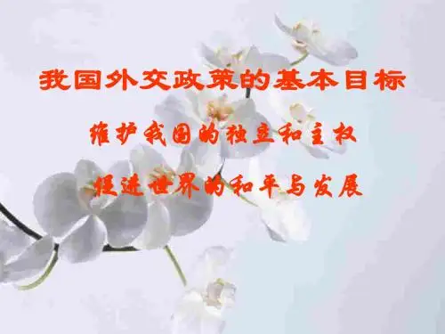 外交政策