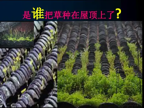 【教科版】把种子散播到远处PPT精品课件1