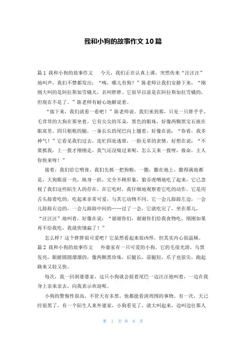 我和小狗的故事作文10篇