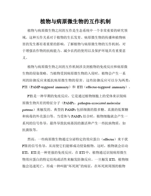 植物与病原微生物的互作机制