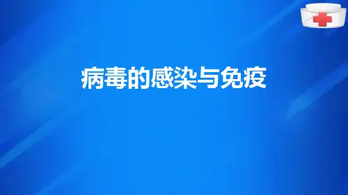 医学微生物学—病毒的基本知识