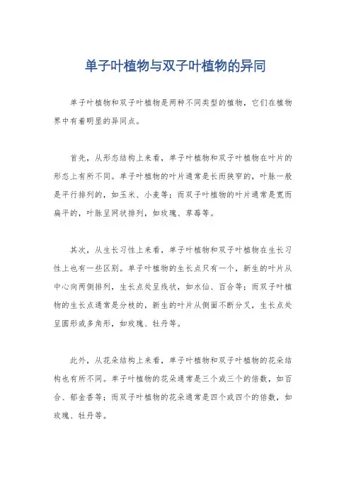 单子叶植物与双子叶植物的异同