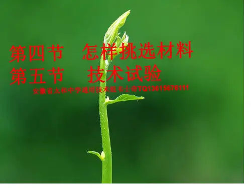 3.4.5_怎样挑选材料.PPT