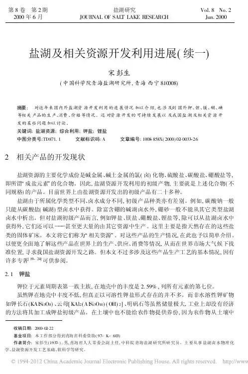 盐湖及相关资源开发利用进展（续一）