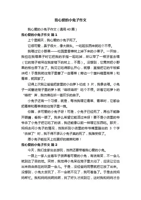我心爱的小兔子作文
