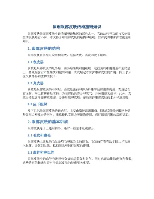 原创眼部皮肤结构基础知识
