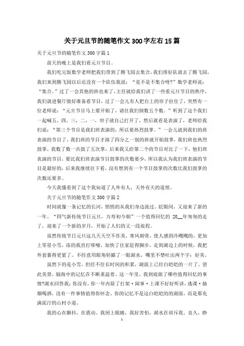 关于元旦节的随笔作文300字左右15篇