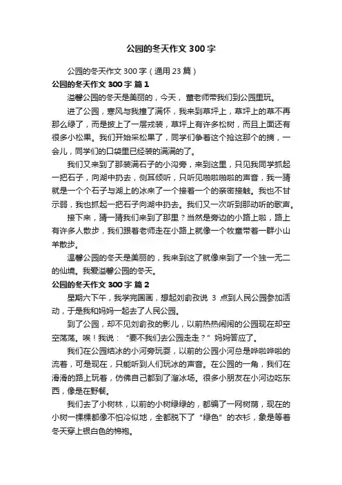 公园的冬天作文300字（通用23篇）