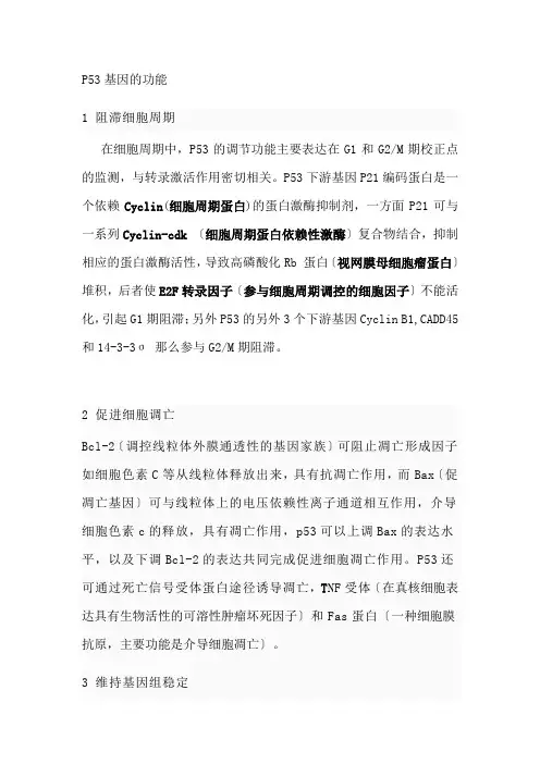 P53基因的功能