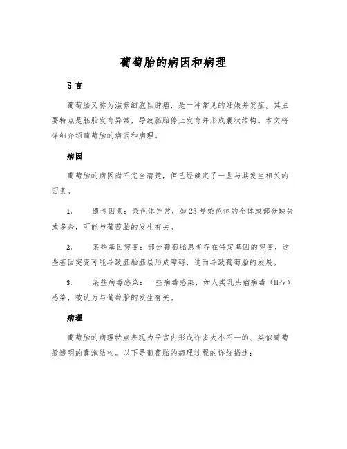 葡萄胎的病因和病理
