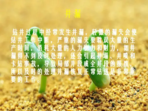 井漏处理措施及案例分析幻灯片PPT
