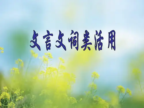文言文词类活用中小学PPT教学课件
