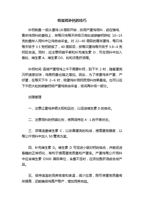 给蛋鸡补钙的技巧