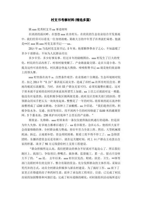 村支书考察材料(精选多篇)
