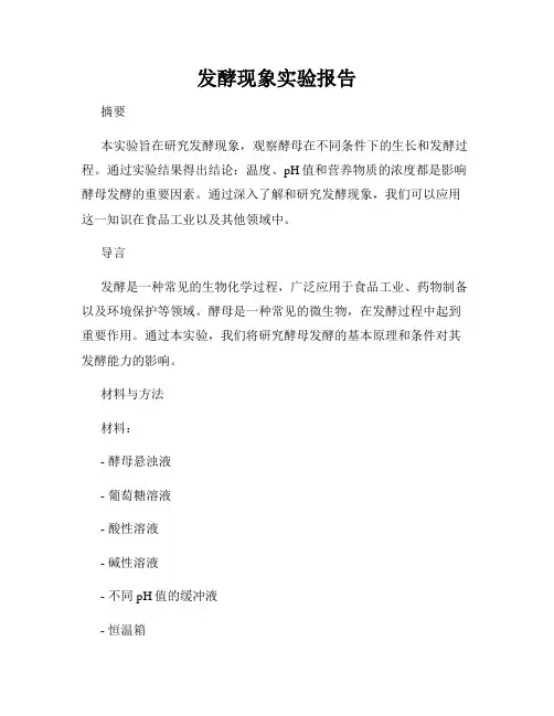发酵现象实验报告
