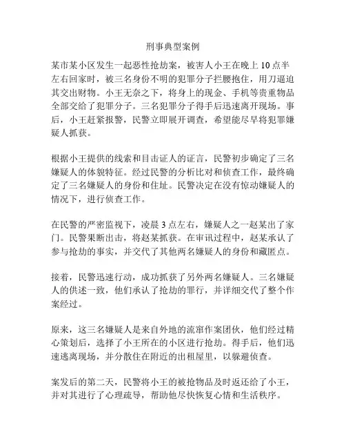 刑事典型案例