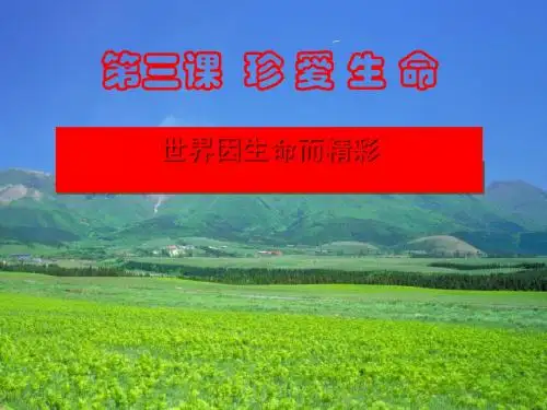 《世界因生命而精彩》珍爱生命PPT(上课用)7