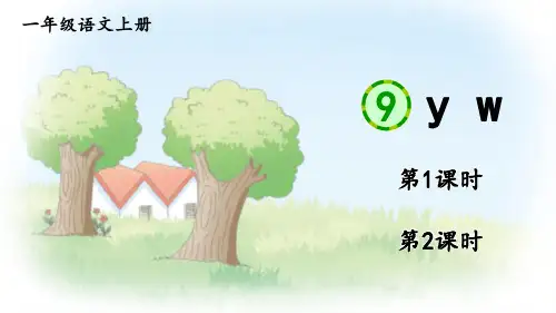 y w课件