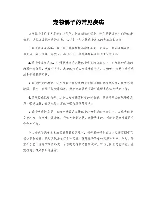 宠物鸽子的常见疾病
