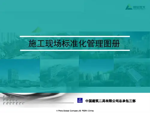 CI 标准化