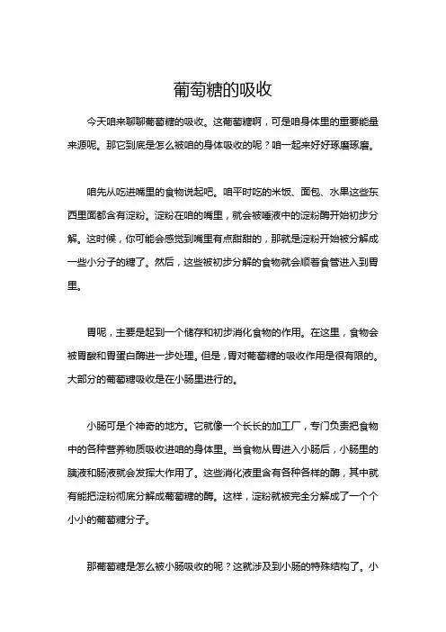 葡萄糖的吸收