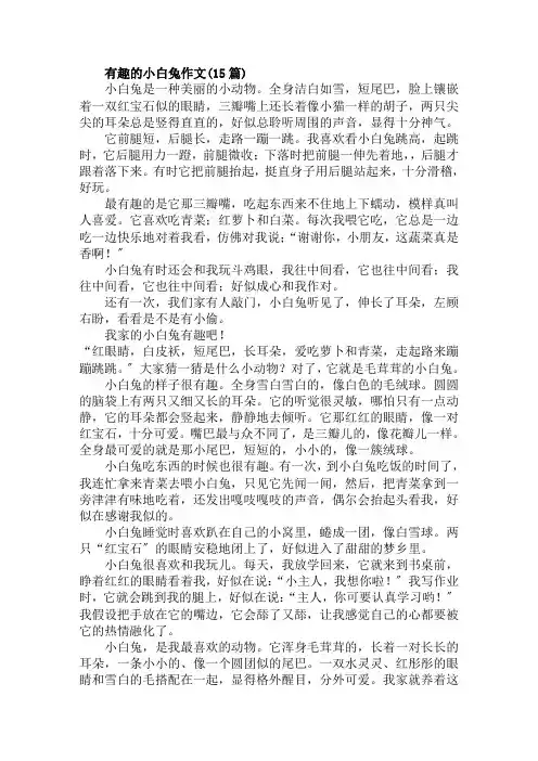 有趣的小白兔作文(15篇)范文精选