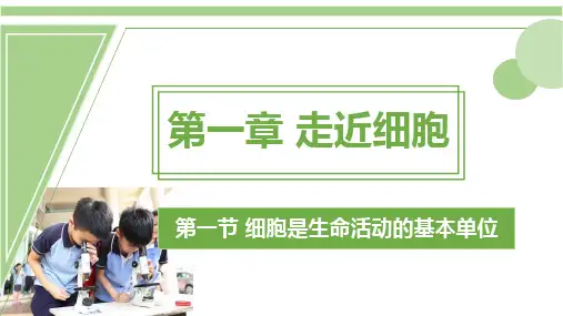 高中生物(新教材)1.1细胞是生命活动的基本单位