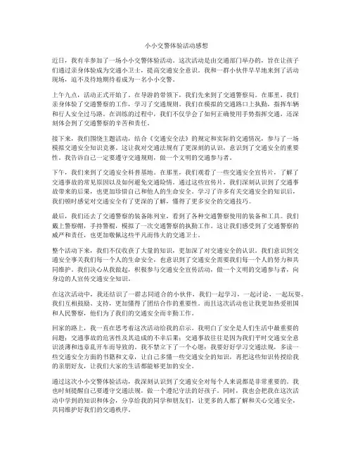 小小交警体验活动感想