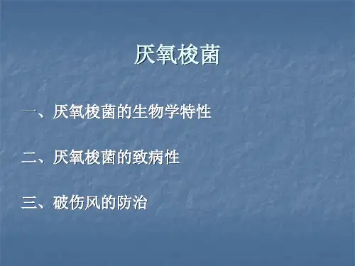 厌氧病原梭菌PPT课件