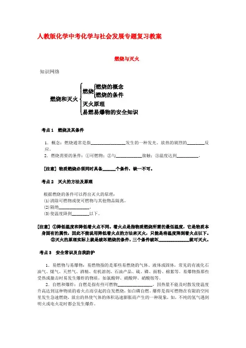 人教版化学中考化学和社会发展专题复习讲义