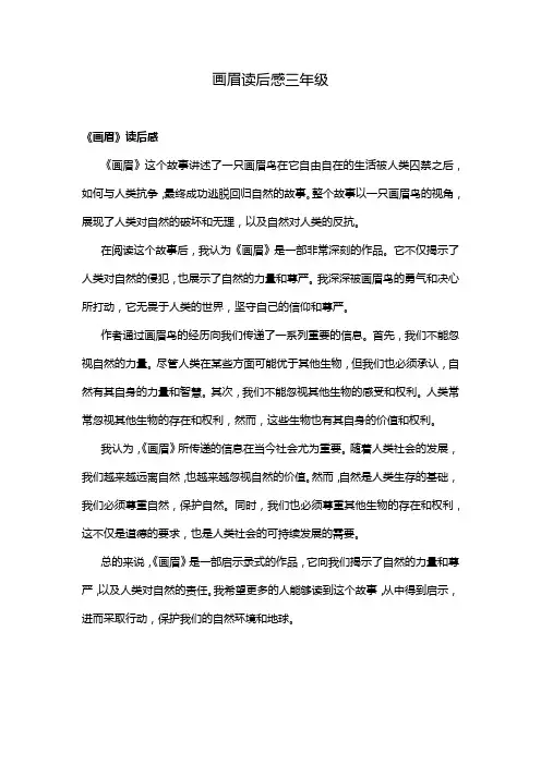 画眉读后感三年级