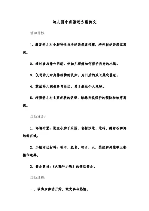 幼儿园中班活动方案例文（五篇）